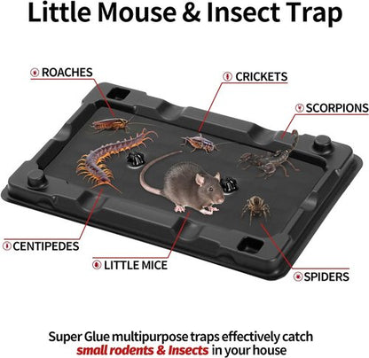 LULUCATCH Mouse & Insect Traps - 12 Pack of Non-Toxic, Heavy-Duty Sticky Traps for Home Use