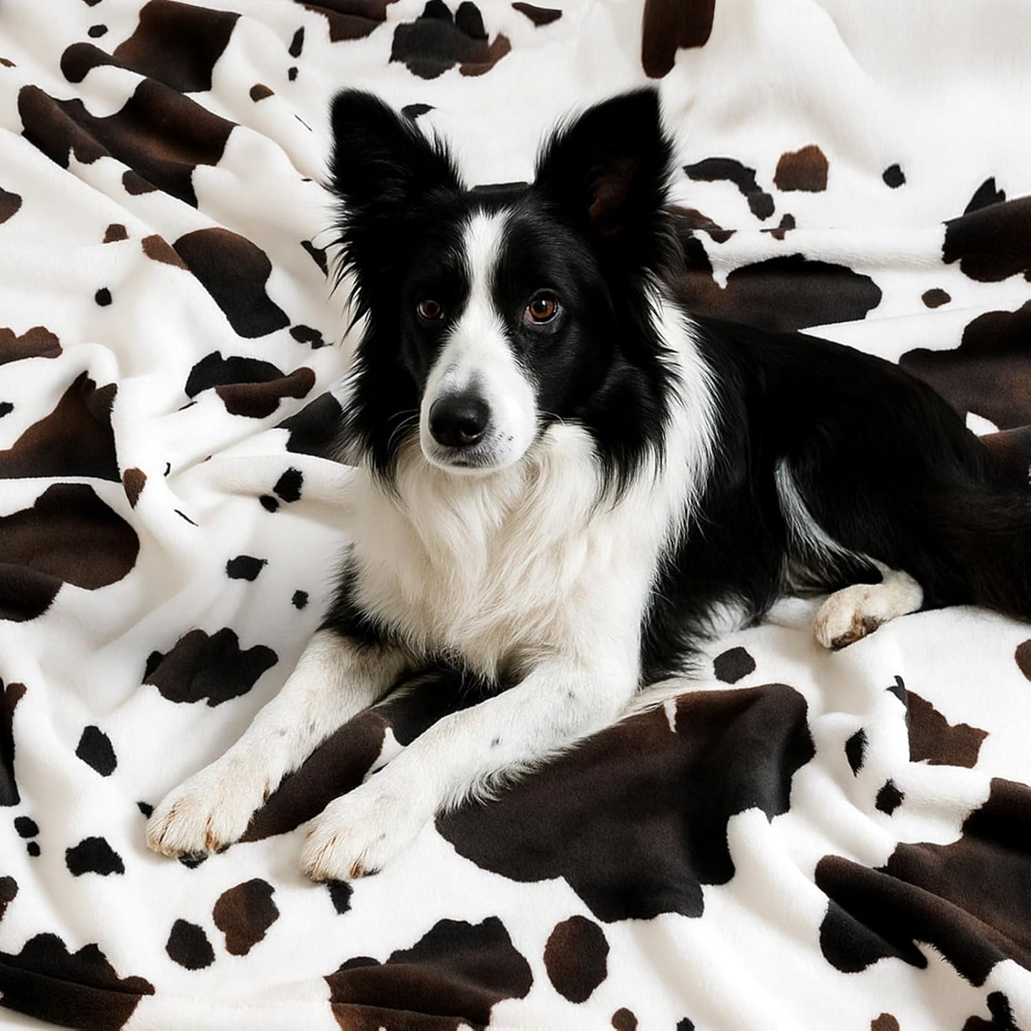 Cozy 60"*80" Bliss Cow Print Throw Blanket for Bed - Fuzzy Thick Soft Warm Fleece Blankets for Couch & Bed, for Women