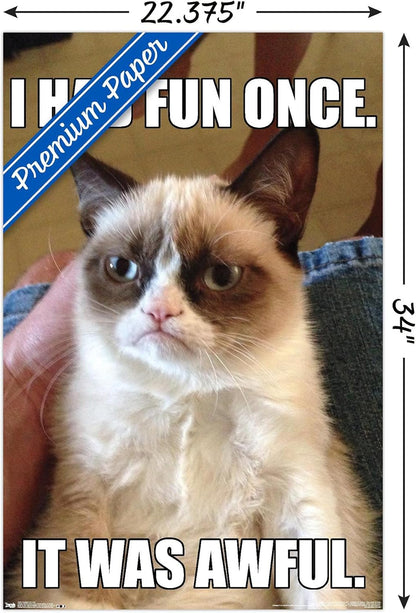 Trends International Grumpy Cat - Fun Wall Poster, Premium Poster & Clip Bundle, 22.375" x 34"
