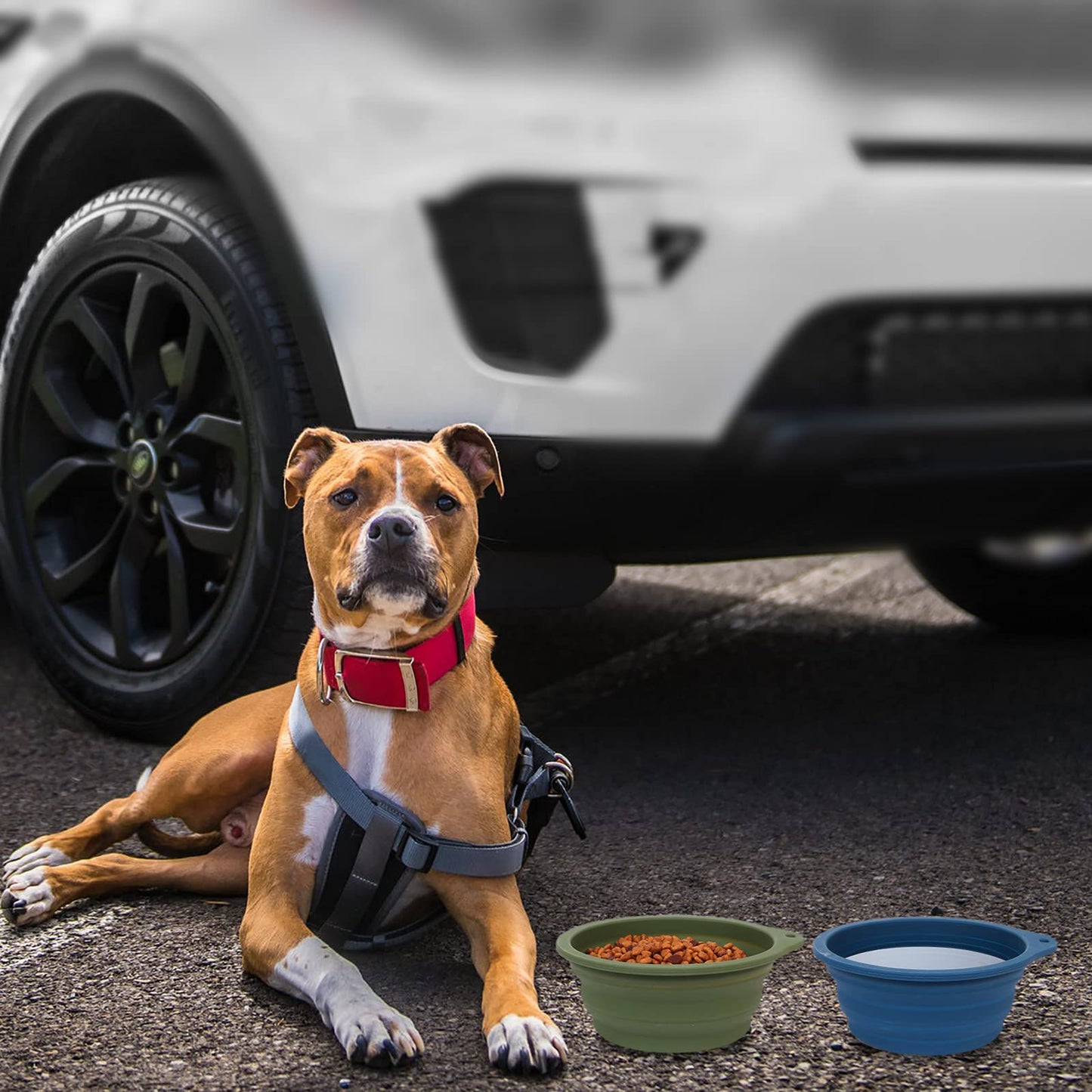 SLSON 2Pack Collapsible Dog Bowl,Integrated Molding Travel Bowl No Plastic Rim Pet Feeding Bowls for Walking Traveling Outdoors,600ML (Navy Blue+Dark Green)