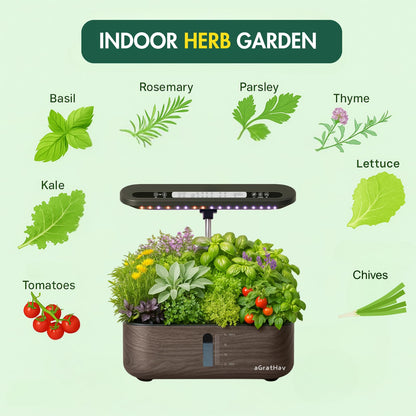 Hydroponics Growing System Kit, Indoor Herb Garden, 14 Pods Upgraded LCD Display, LED Grow Light Quiet Smart Water Pump Automatic Timer, Hydroponic Planter for Home Kitchen Office (Black)