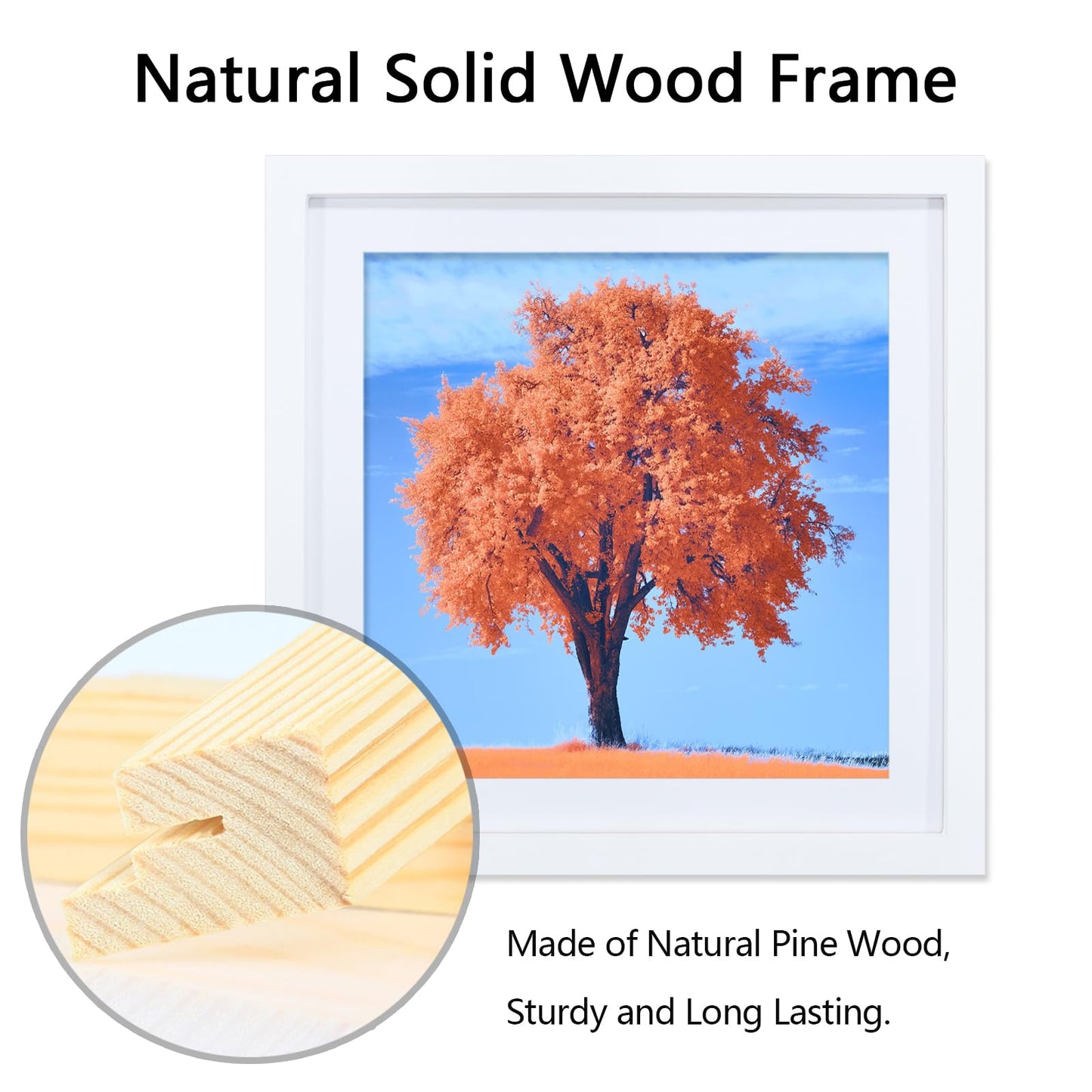 2 Pack 12x12 Picture Frame White, Solid Wood Diamond Art Painting Frames 30x30cm, Display Pictures 10x10 with Mat or 12 x 12 Without Mat, 12x12 Frame for Photos Posters Prints Artworks, Wall Hanging