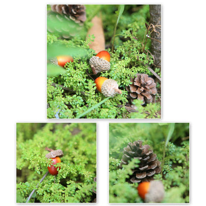 Apol Total 120 Pcs Artificial Acorns and Natural Pinecones Ornament Set for Home House Christmas Decoration Photo Props