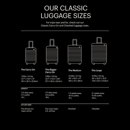 Away Large Checked Luggage - 29-Inch Lightweight Hardside Suitcase with Four WhisperGlide 360° Spinner Wheels, Interior Compression System, TSA-Accepted Lock - Jet Black