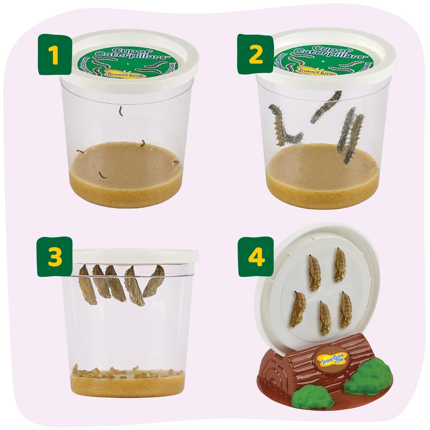 Insect Lore Raise and Release Butterfly Garden Kit – Caterpillar Habitat with redeemable Voucher – STEM-accredited Live Butterfly Growing Kit for Kids, Classrooms, and Homeschool Learning