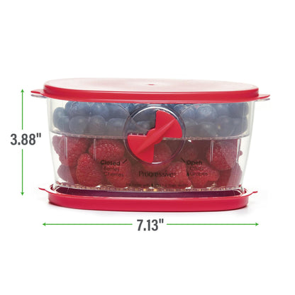 PrepSolutions Berry Keeper, Red – Freshness-Enhancing Storage for Berries and Small Fruits