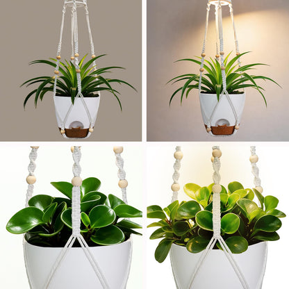 Hanging Planters for Indoor Plants: 2 Pack Macrame Plant Hangers with Grow Lights and Self-Watering Pots, Large Hanging Pots with Drainage Holes & Removable Tray（8in White Pot, Daylight Spectrum）