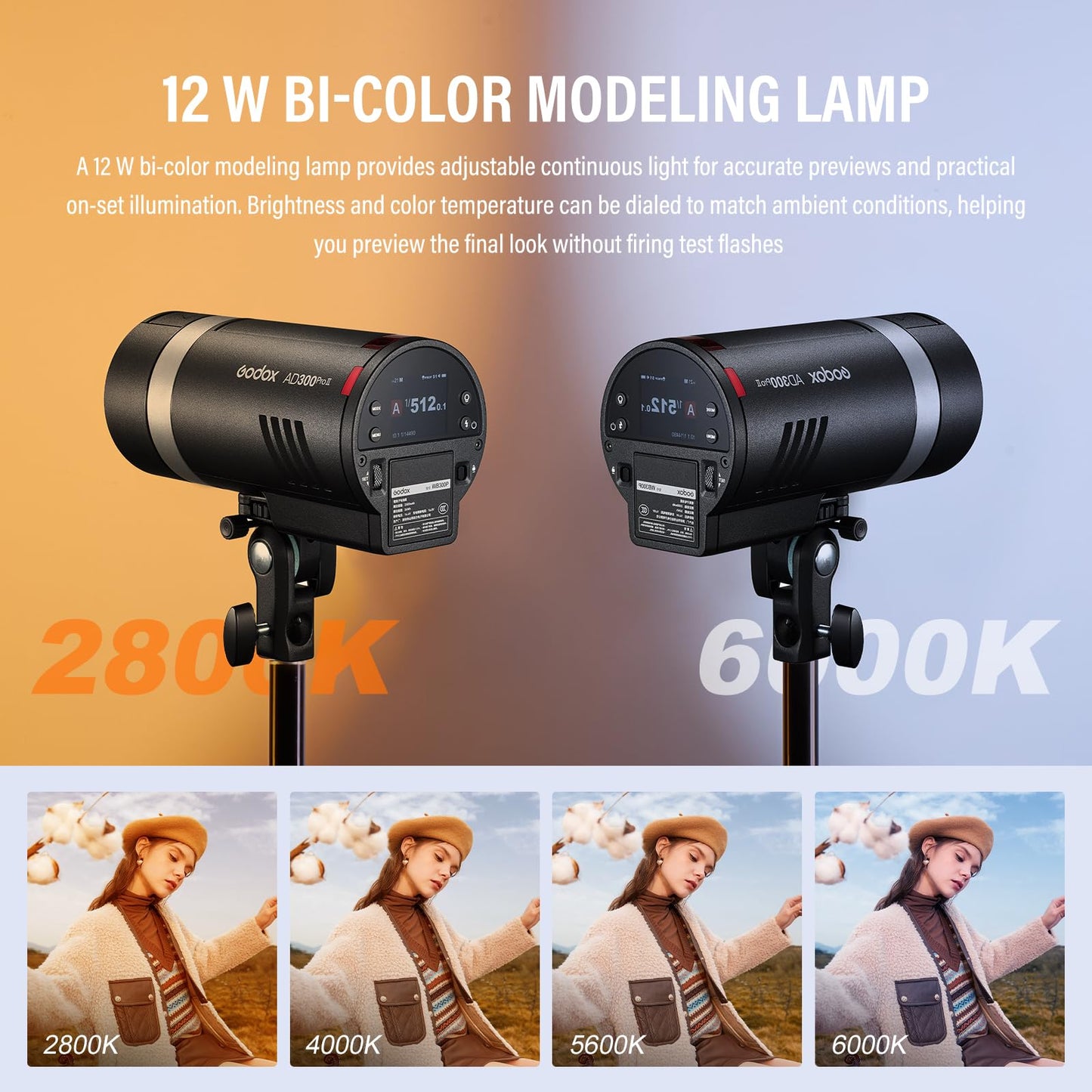 GODOX AD300Pro II AD300 Pro II TTL HSS Studio Outdoor Strobe Flash Monolight Kit with AD-S60S Softbox, WB300P Battery, AD-R14 Standard Reflector and BD-10 Barn Door Set