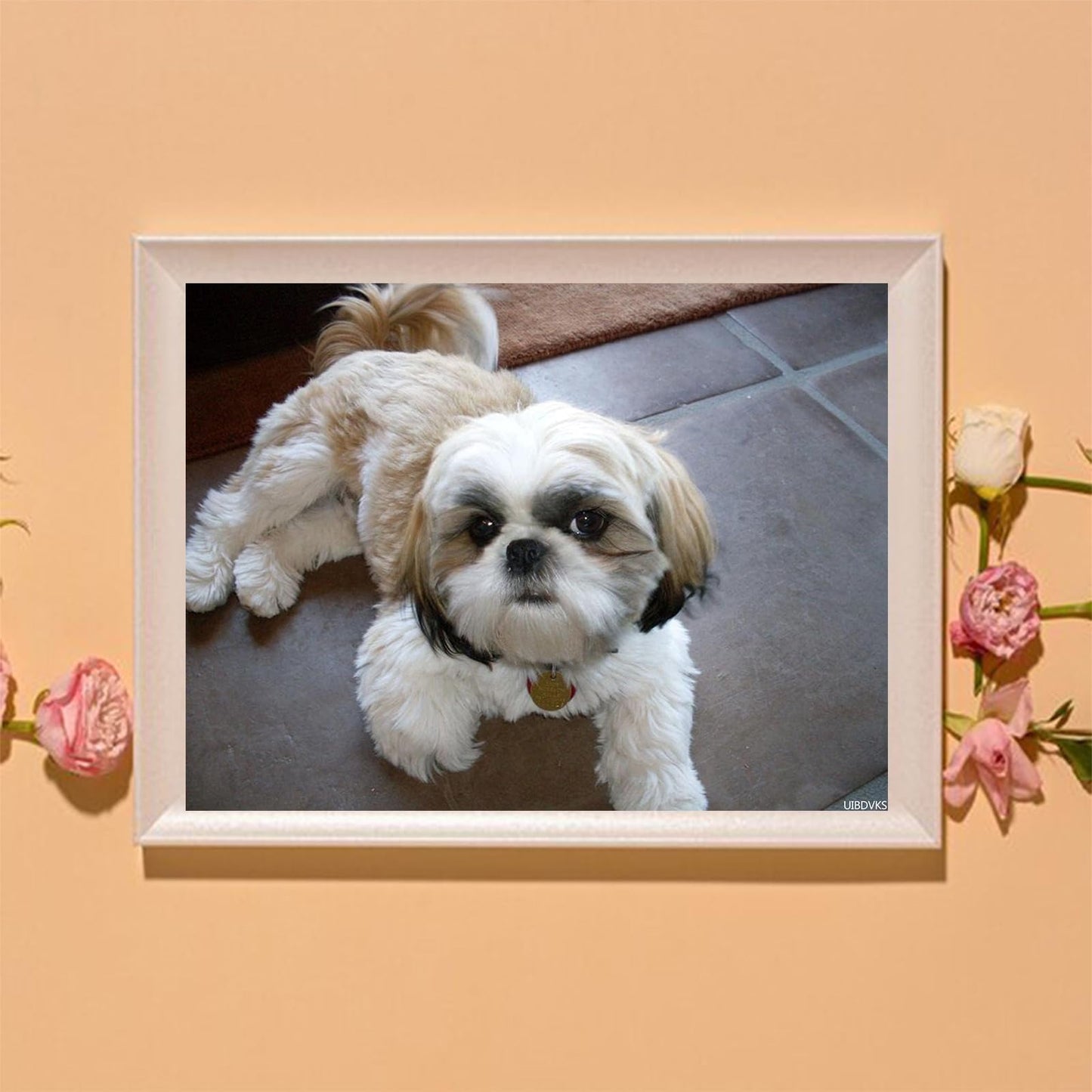 Shih Tzu Dog Diamond Painting Kits for Adults DIY 5D Diamond Painting Arts Craft for Home Wall Decor Birthday Gifts 30x40cm/12x16in