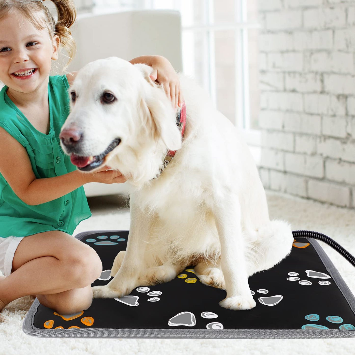 furrybaby Pet Heating Pad, Waterproof Dog Heating Pad Mat for Cat with Durable Anti-Bite Tube Indoor for Puppies Dogs Cats (1 Pack Black, 17 X 17in, Temp Adjustable)