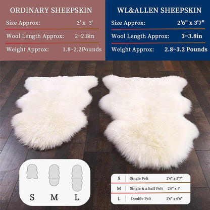 WL&ALLEN Sheepskin Rug - Genuine Thick & Lush 3 Inch Pile, Luxury Australian Pelts | Large Single Pelt 4'4" x 6'6", Ivory White