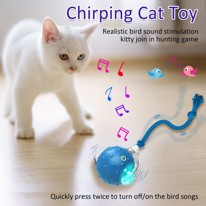 Giociv Interactive Cat Toys Ball for Indoor Cats Fast Rolling on Carpet, Chirping & Motion Activate Cat Toys (Blue)