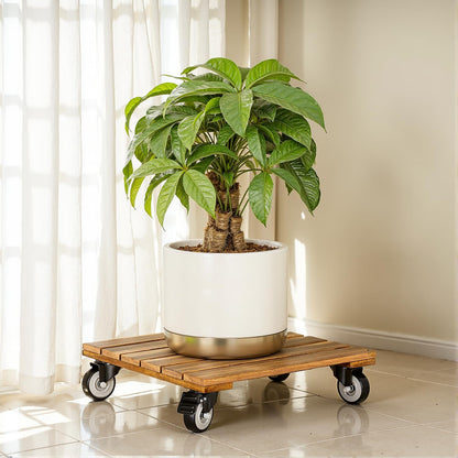 2pack 264 Lbs 12 Inch 360 Wood Plant Caddy With Wheels Heavy Duty, Capacity, Upgraded Acacia Hardwood Plant Dolly