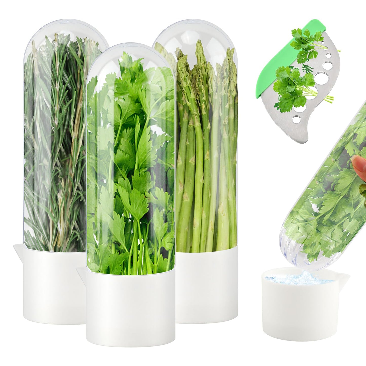 Cramelith 3PCS Herb Keeper for Refrigerator + Herb Stripper, Cilantro Container for Fridge, Vegetable Preservation Bottle for Cilantro, Mint, Keeps Greens Fresh for 2-3 Weeks