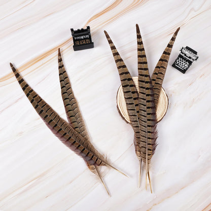 MAOFENG 12pcs Natural Feathers Male Ringneck Pheasant Tails Feathers 10-12inch 25-30cm for Crafts Wedding Party Performance Home DIY Decoration,Male Pheasant Feathers