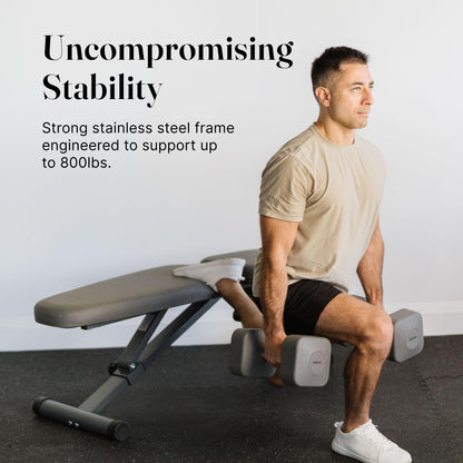WeGym Collapsible Workout Bench, Adjustable Fitness Bench with 50 Configurations, Vegan Leather, Extra Wide 14in Seat for Home Gym Strength Training (Slate)