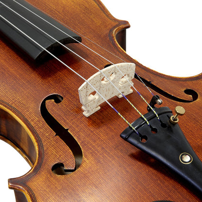 Paititi 4/4 Full Size PTVNSH100 Premium Hand Carved Ebony Fitted Violin Outfit with Case, Bow, String, Tuner, Mute and Rosin