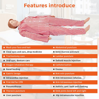 SKUWGW Adult Female Full-Body Anatomical Model, 67in Nursing Training Mannequin for Clinical Skills Training & Patient Care Education - Nursing School Supplies