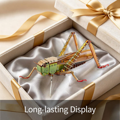 HELLOTOY 3D Acrylic Insects Puzzles DIY Bug Model Kit for Teenagers Educational Display Nature Decoration Figurine Sculpture (Grasshopper)