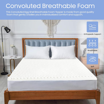 2-inch Greaton Breathable Convoluted Egg Shell Foam Mattress Topper | Toppers for Mattresses Adds Ultimate Comfort