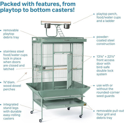HomeStock Suburban Sophistication Playtop Bird Home with Spacious Design, Durable Materials, Removable Perches Medium/Sage Green