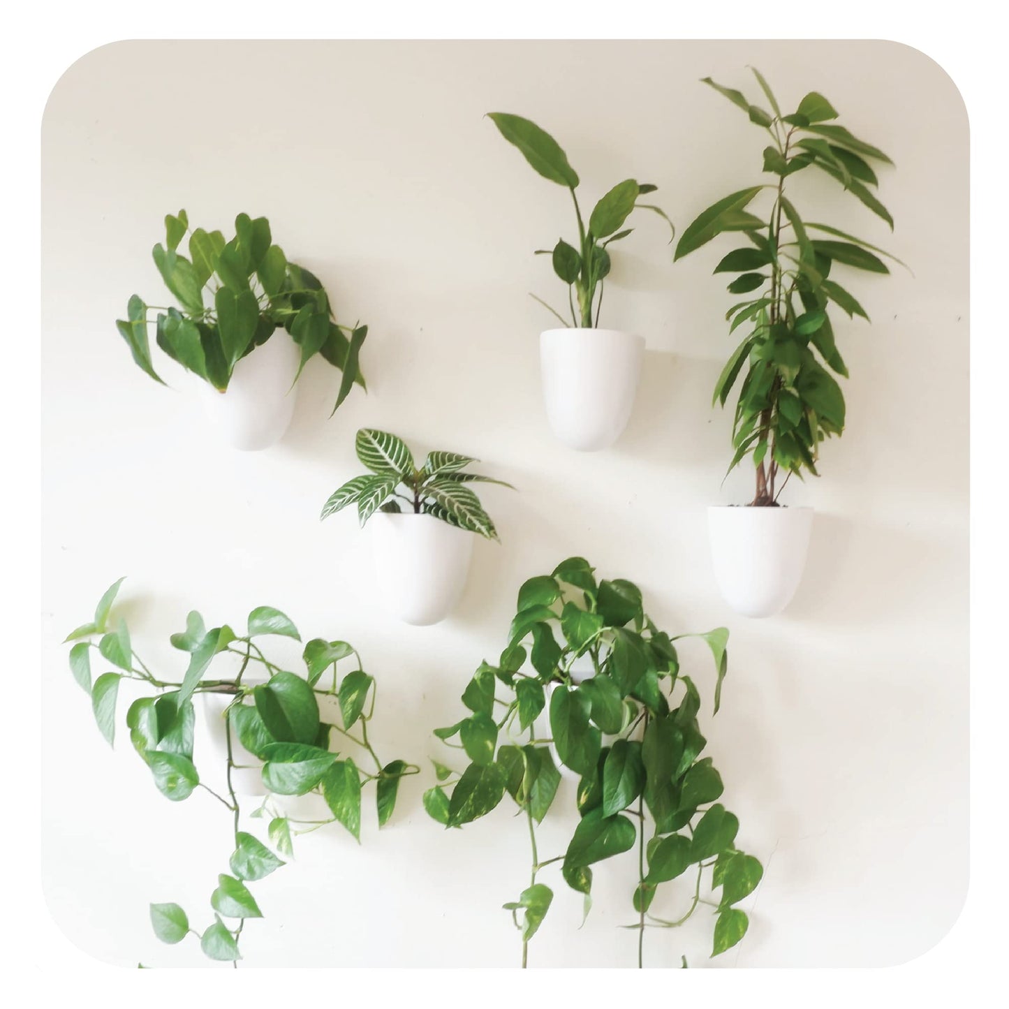PlantPod Luxe - Self-Watering Wall Planters (Set of 6) - Easy to Water and Install - Lightweight - Design Your Own Vertical Garden - Wall Planters for Indoor Plants