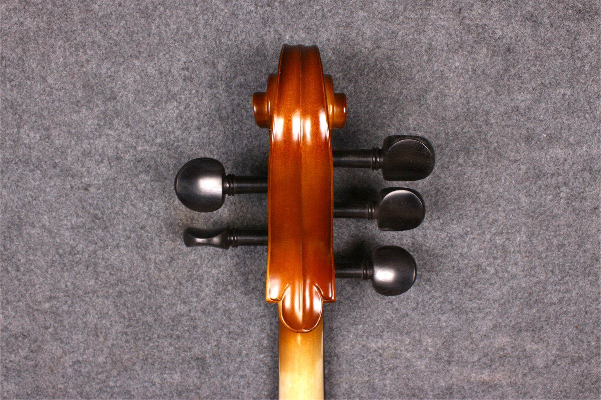 Yinfente 4/4 5 String Cello Acoustic Model Full size Spruce Maple wood Free Cello bow Bag Sweet Sound