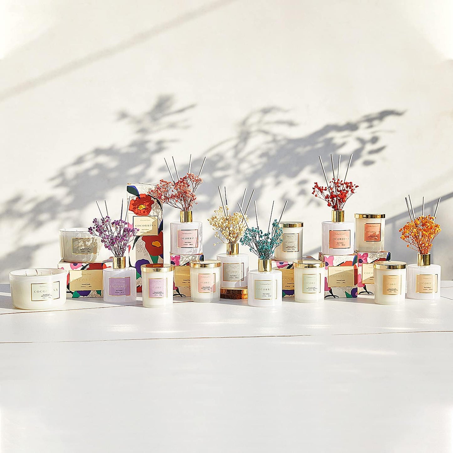 Set 6.7oz Cocorrna Premium Reed Diffuser with Preserved Baby's Breath & Cotton Stick Coconut Lime | Scent Fragrance Oil