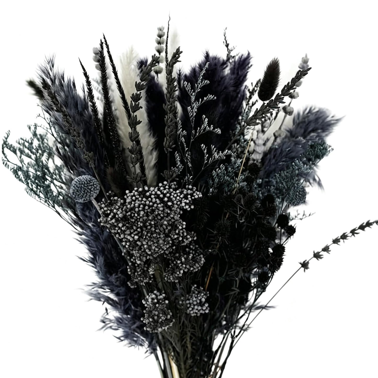 Natural Dried Pampas Grass Bouquet, 17" Black and Dark Grey Dried Flower Bouquet, Mixed with Thistle, Bohemian Style Home Dried Flower Decoration, DIY Assembly