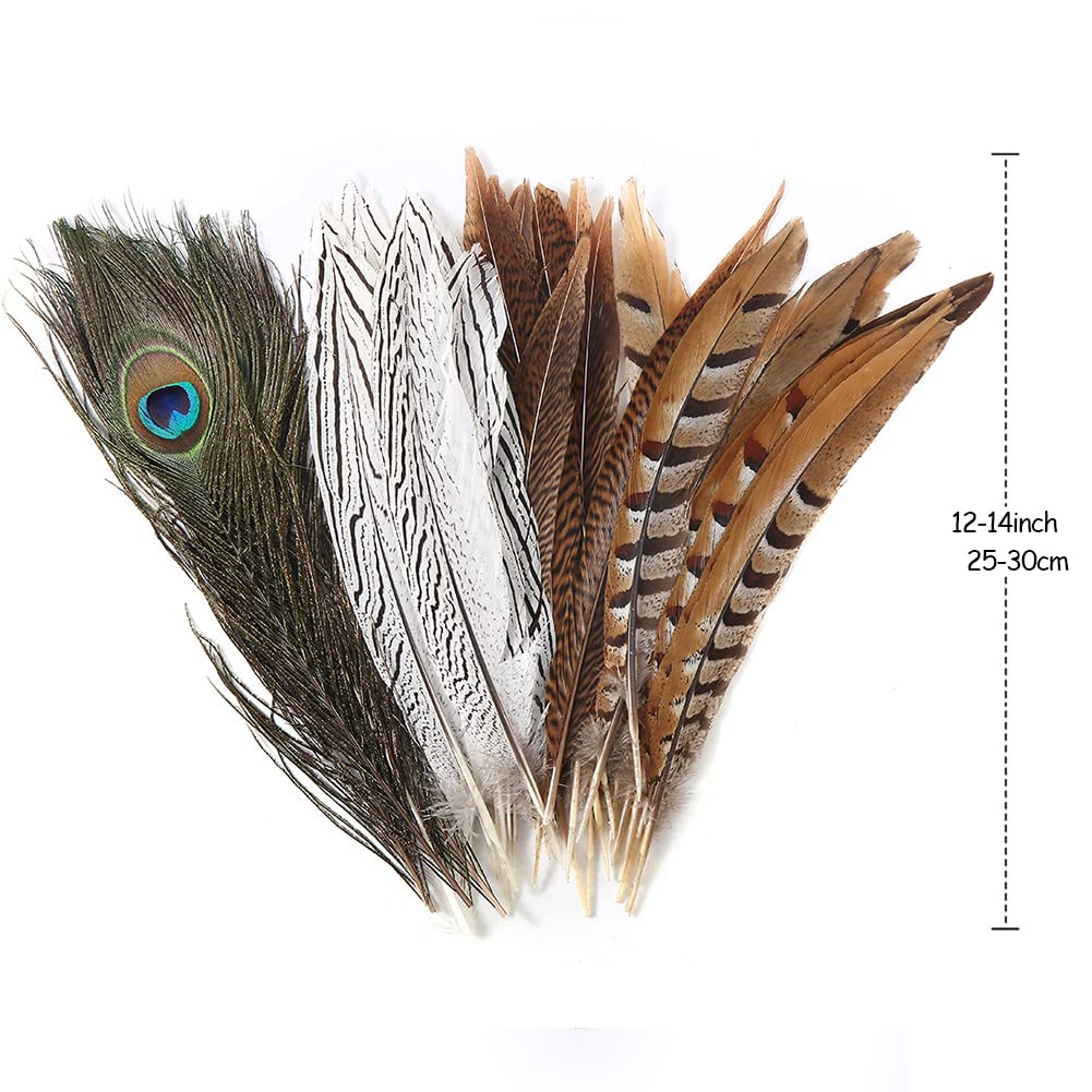 Flying Feathers 12pcs Natural Pheasant Feathers 25-30cm 4 Style Feathers Mixed Peacock Feathers for DIY Craft Wedding Home Party Decorations FF16…