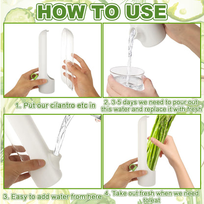 LDHHYH 4 PCS Fresh Herb Keeper for Refrigerator, Herb Saver for Refrigerator, Cilantro Containers for Fridge, Herb Storage Containers for Cilantro Asparagus Mint Rosemary Parsley Basil for 2-3 Weeks