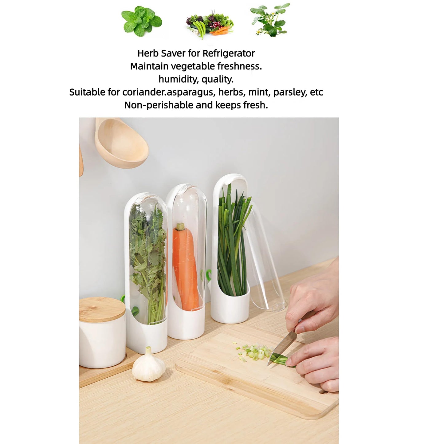 Ristpal 3Pack Herb Saver for Refrigerator for Cilantro, Parsley, Asparagus, Mint,Vegetable Preservation Containers, Keeps Greens Vegetables for 2-3 Weeks