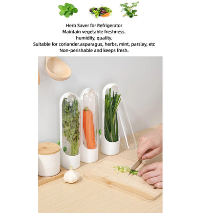 Ristpal 3Pack Herb Saver for Refrigerator for Cilantro, Parsley, Asparagus, Mint,Vegetable Preservation Containers, Keeps Greens Vegetables for 2-3 Weeks