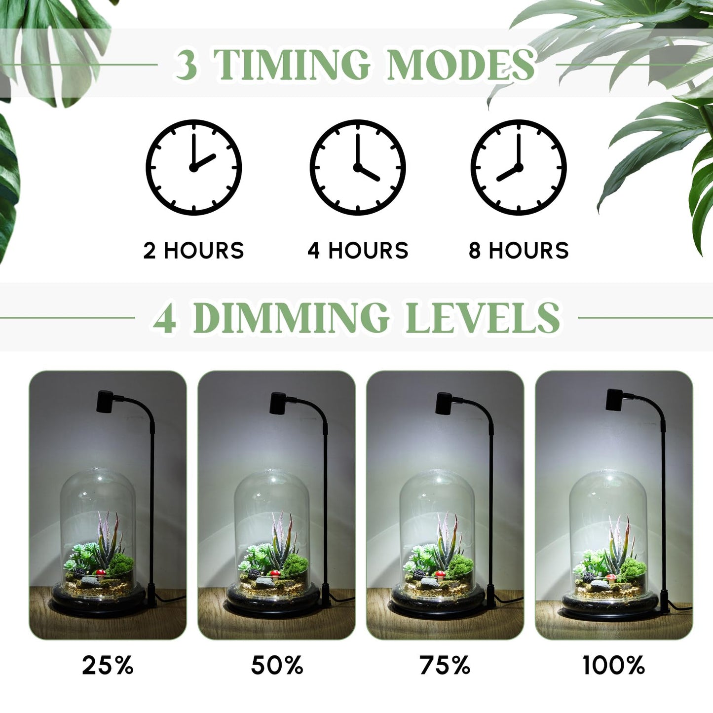 Maxdot Plant Terrarium Kit with Grow Light, 4.8'' x 7.87'' Glass Dome Terrarium with Air Hole and Base, Succulent Air Planter Fern Moss Micro Landscape Vase for Home Office Tabletop Decoration