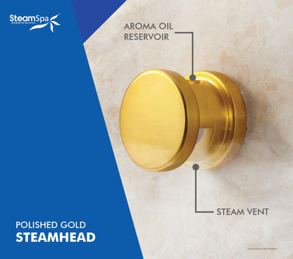 STEAMSPA 6kW Steam Sauna Generator Sentry Series 240V Steam Generator with Touch Screen, Steamhead, Built-in Steam Shower Auto Drain, ACU Quickstart Steam Bath Generator (Gold)