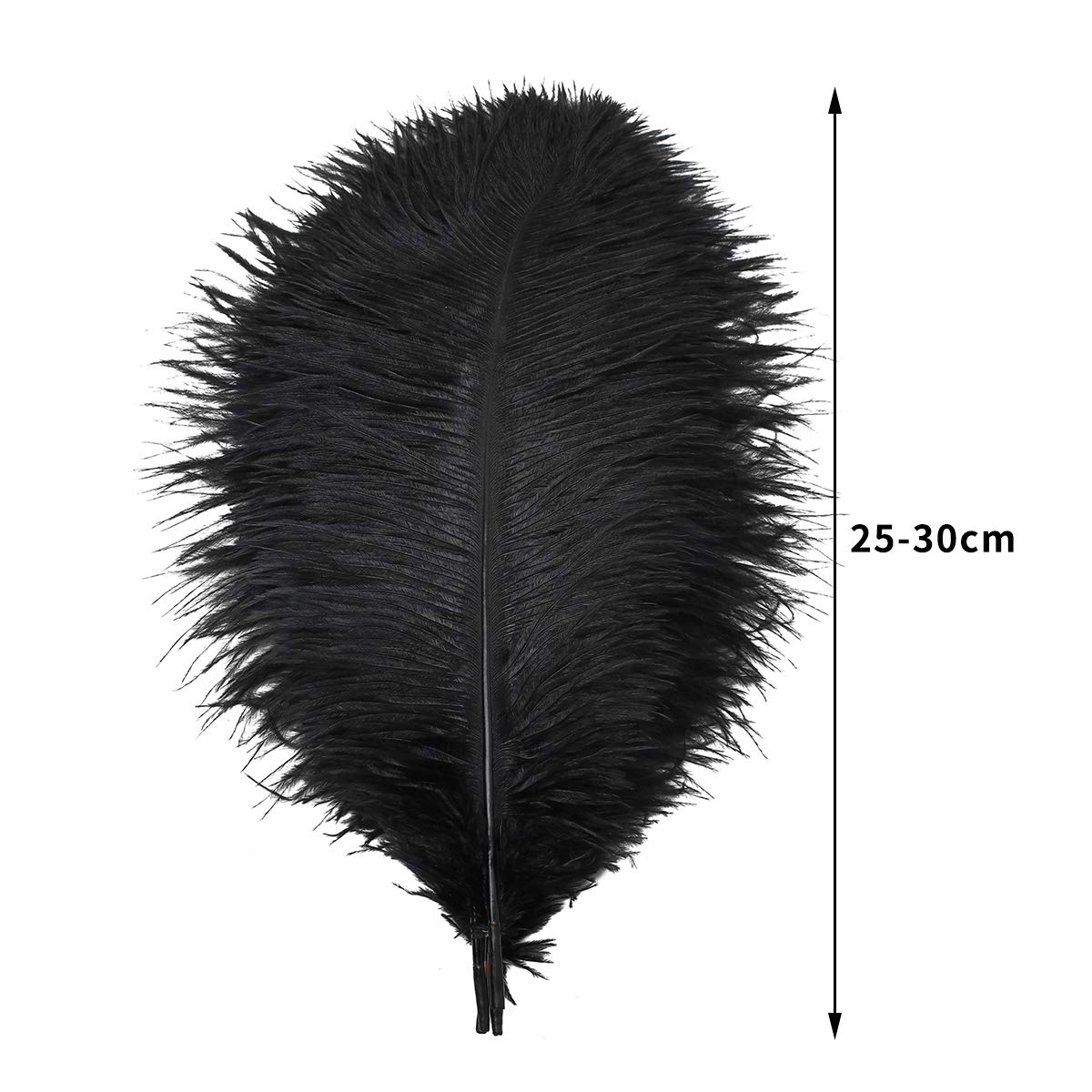 Ballinger 8-12inch 4 Styles 24Pcs Assorted Pheasant Feathers and 24 Pcs 10-12inch Black Ostrich Feaathers for Crafting Vase Hat Wedding Autumn Party Decor