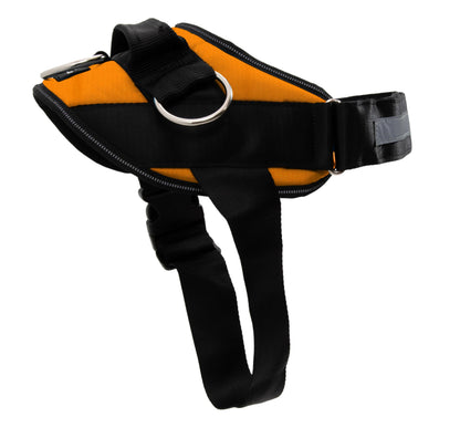ShawnCo Essential Dog Harness, No-Pull Pet Vest with 3 Leash Clips, No Choke, Reflective, Adjustable and Padded, for Easy Walking and Training for Small, Medium and Large Dogs (Sunset Orange, M)