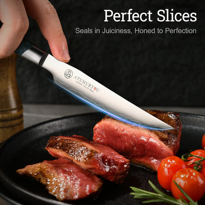 Steak Knives Set of 4, 5 inch Handcrafted Japanese VG10 Steel Kitchen Steak Knives, Non Serrated Meat Knife with Ergonomic Stabilized Wood Handle & Luxurious Wood Box, Cooking Gifts for Men Women