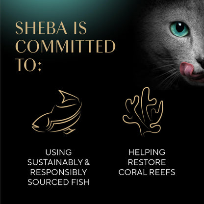 Sheba Perfect Portions Wet Cat Food Cuts in Gravy Variety Pack, with Sustainable Tuna and Roasted Chicken Entree, 2.6 oz. Twin-Pack Trays (6 Count, 12 Servings) (Pack of 2)