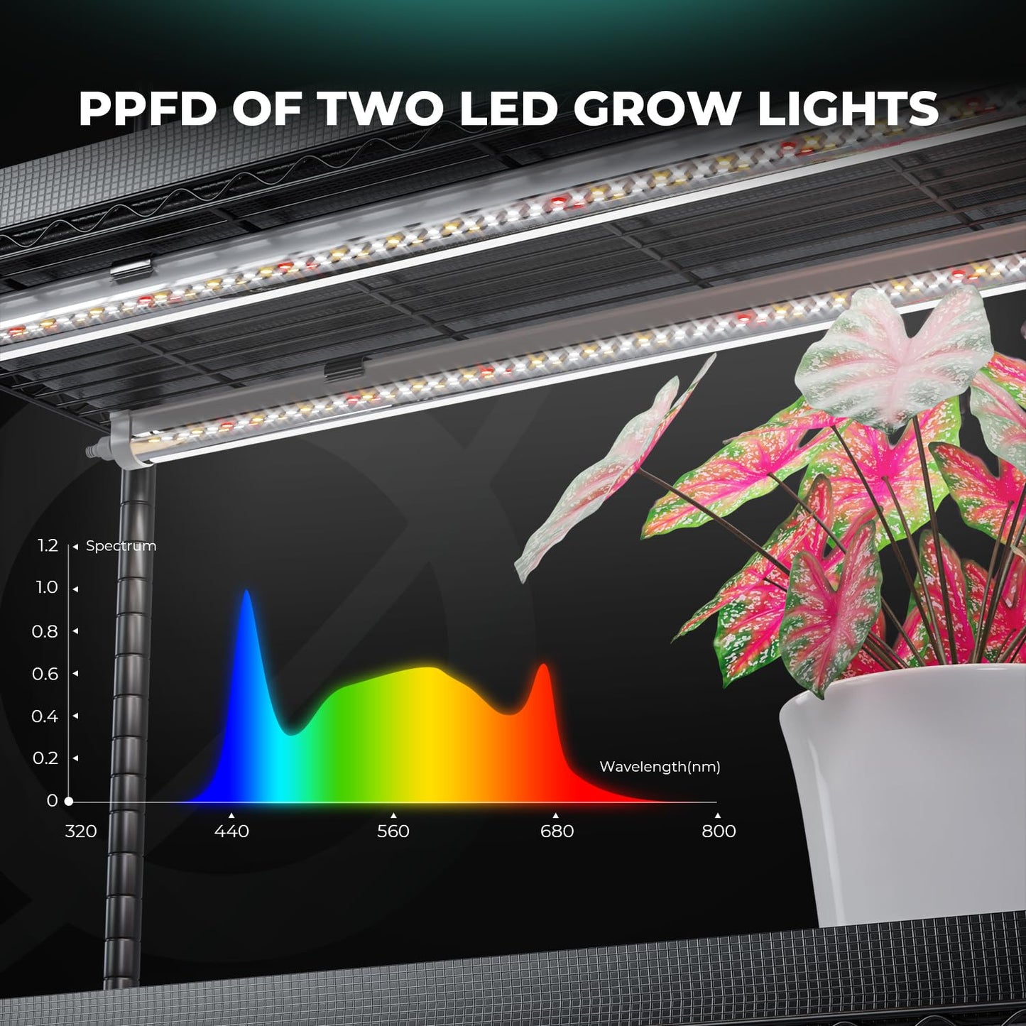 MARS HYDRO 2025 Plant Stand with Grow Lights,6-Tier Plant Shelf with 10 Full Spectrum LED Lamps (225W, 3ft) & Grow Tent | for Vegetables, Seedlings, Plant Growth | 5000K, 43x16x71''