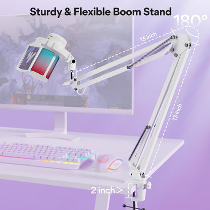MAONO USB Gaming Microphone with Noise Cancellation, Computer PC Mic with Boom Arm, RGB Light, Mute, Gain, Monitoring Streaming Mic for Podcast, YouTube, Twitch, Discord, PS5/4, GamerWave DGM20S