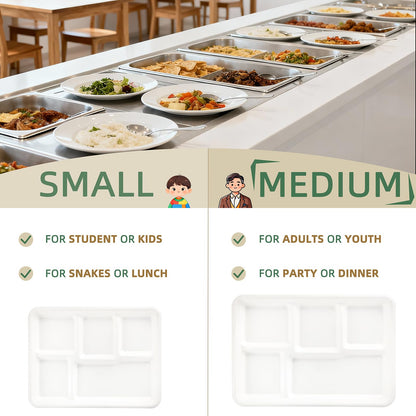 WELLIFE 100% Compostable 5 Compartment Paper Plates, 100 Pack Disposable School Lunch Trays Divided Plates for Adult Youth, 12.5 * 8.6 inch Heavy Duty Eco-Friendly Bagasse Plate for Buffet and Party