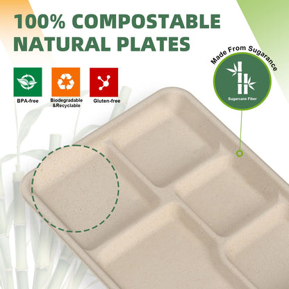 WELLIFE 125 Pack Kids Small 5-Compartment Paper Plates, 10.25x8.25 Inch 100% Compostable Divided Plates, Disposable School Lunch Trays, Eco-Friendly Bagasse Plate for Boys Girls and Youth (BPA Free)