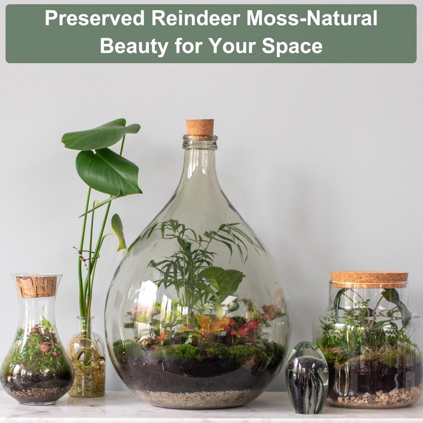 MECCANIXITY 7.4oz Preserved Reindeer Moss, Grass Green Decorative Artificial Fake Moss for Potted Plants Indoor Crafts Lichen Centerpieces Decor
