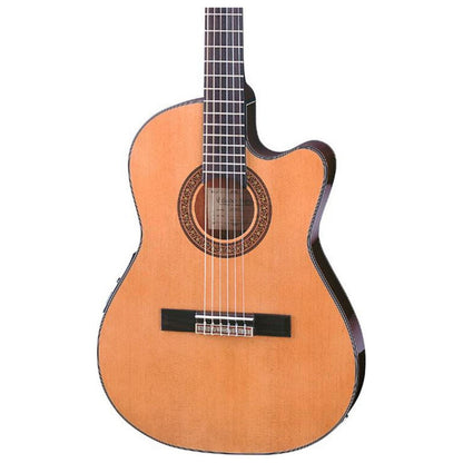 Ibanez 6-String Classical Guitar, Right, Natural