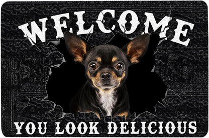You Look Delicious Door Mat, 16x24 Inch, Non-Slip Rubber Welcome Doormat for Indoor Outdoor Entrance Floor