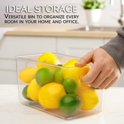 FairHome Set of 6 Clear Plastic Storage Bins With Handles, Containers To Organize Pantry, Fridge, Cabinet, Kitchen, Countertop, Closet, Cupboard, Home Organization and Storage