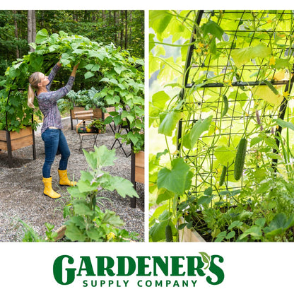 Gardener’s Supply Company Arch Trellis | Garden Arbor fits 2' x 8' Elevated Planter Boxes for Climbing Plants, Vegetables and Flowers | Decorative Outdoor Gardening Landscape