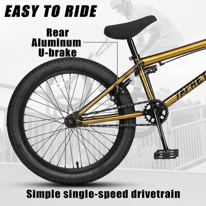cubsala Freestyle BMX Bike, 20 Inch Yaphet Bicycle for Teen Beginner and Adult Riders, Bike with Hi-Ten Steel Frame, Gold