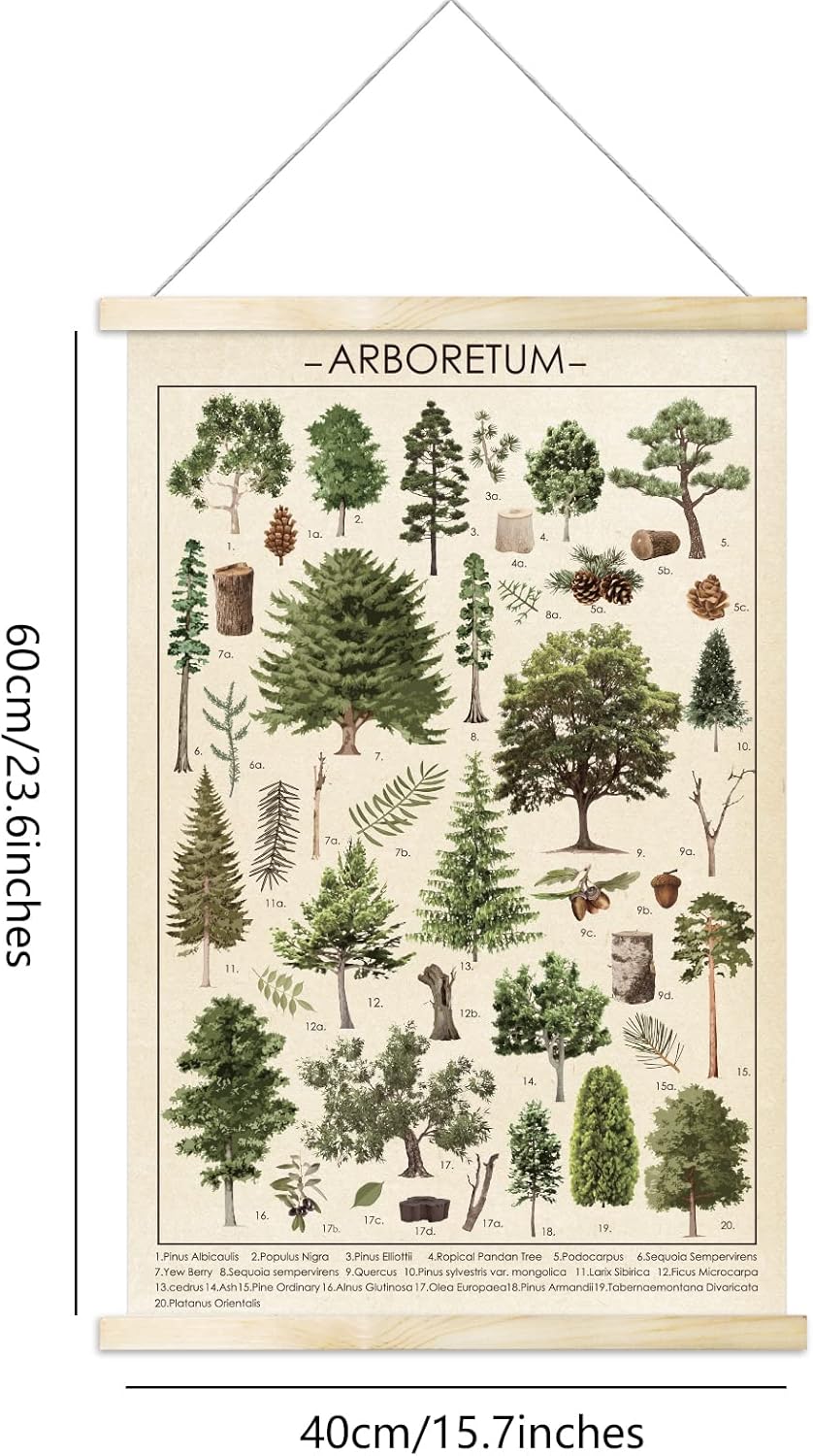 Tevxj Vintage Tree Poster Plant Wall Art Prints, Rustic Style Arboretum Wall Hanging Illustrative Reference Chart for